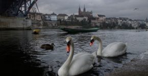 best places to stay in basel