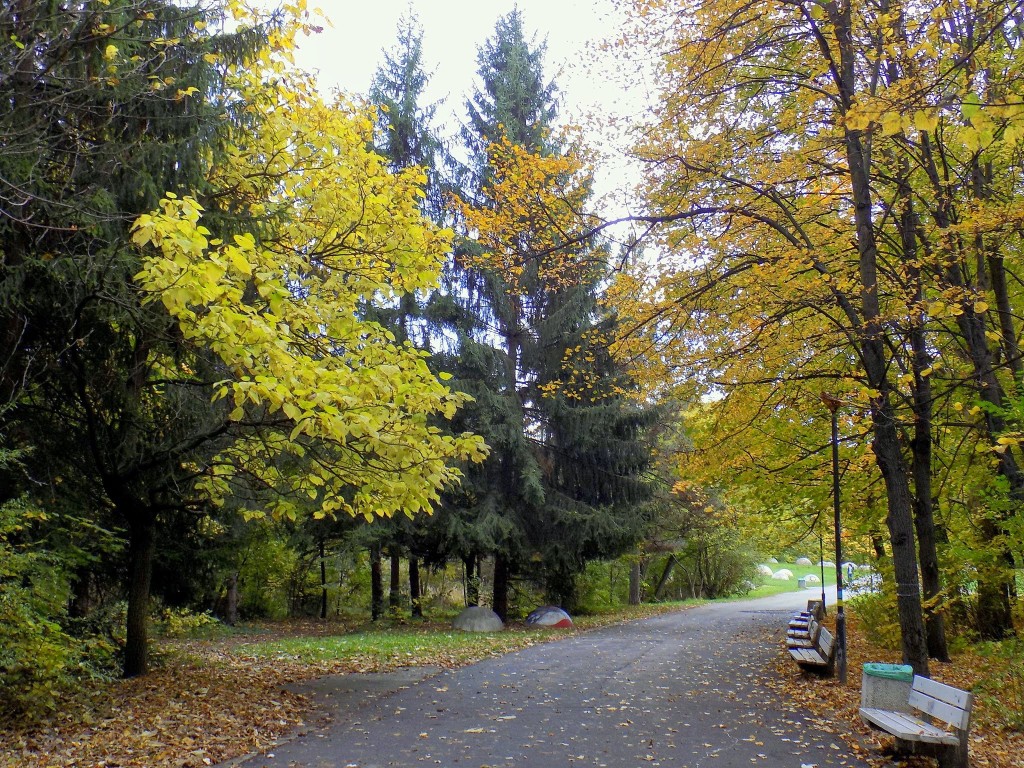 Bulgaria Sofia Autumn