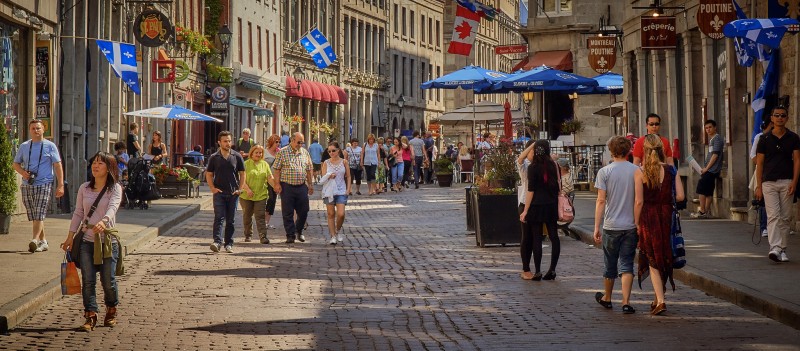 best-places-to-stay-in-montreal-old-town-mont-royal-check-in-price